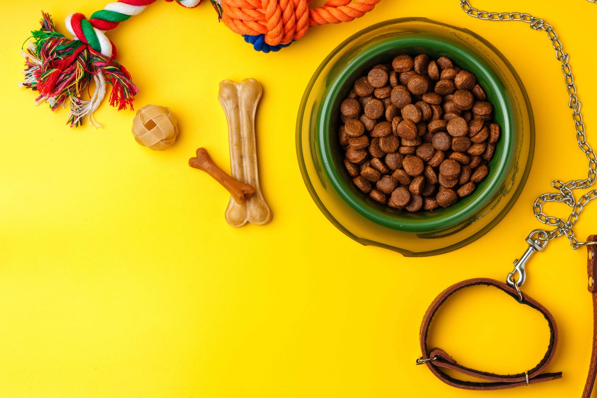 Some items you need for a dog