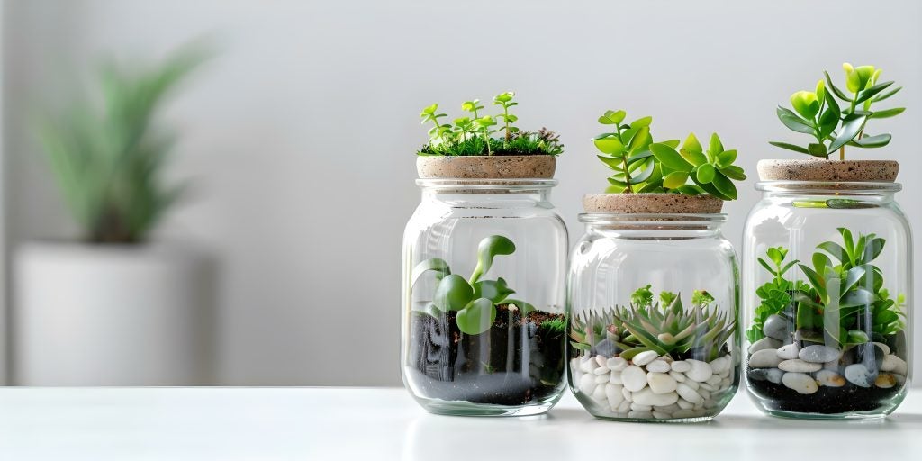 Gift Ideas 2024- Xmas