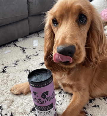 Calm  Relaxed Mini Bone Dog Treats can help keep your dog calm during the fireworks