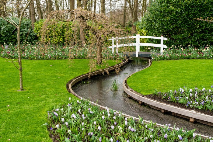 Water Stream in Garden