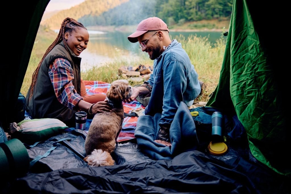 Dog friendly campsites in UK