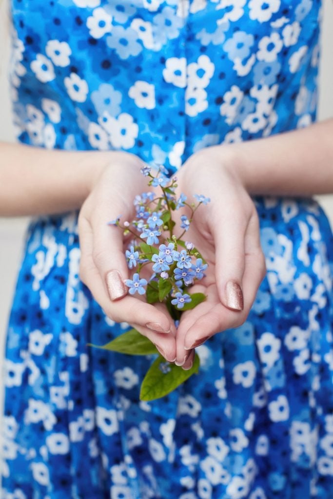 Forget me not flowers