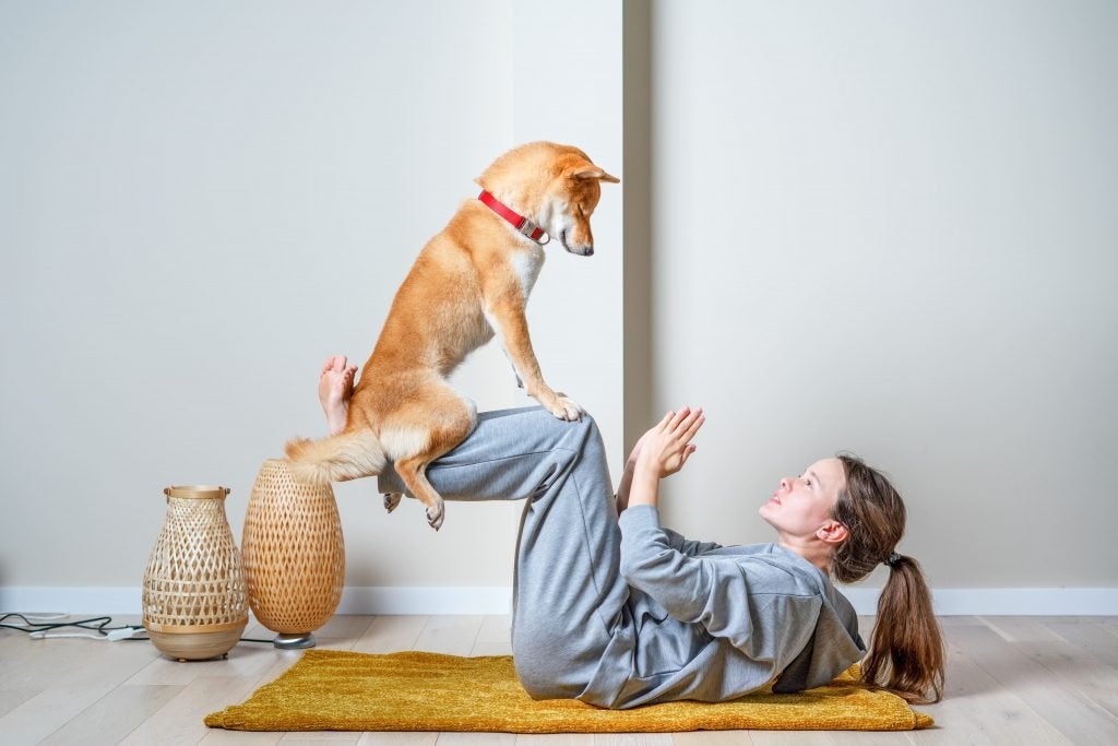 Dog yoga