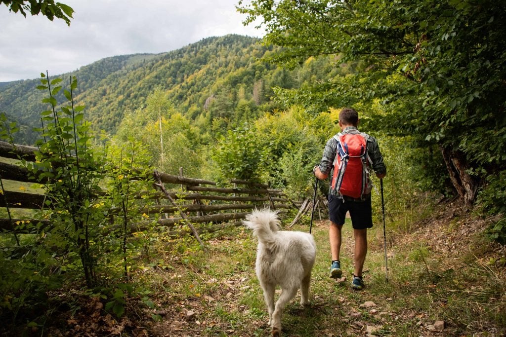 Man trekking with dog