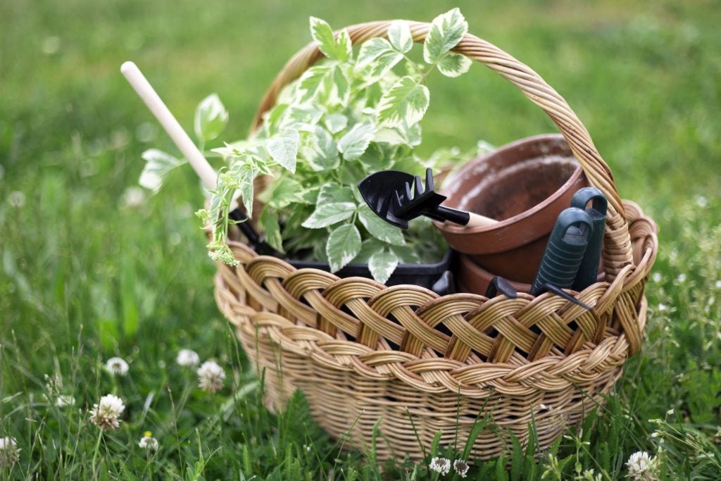 Xmas Gift Hamper Ideas